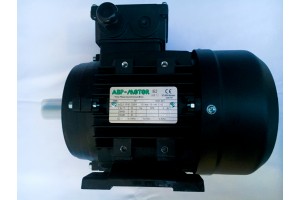 ABP Motor, Electric motors and inverters