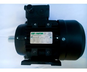 ABP Motor, Electric motors and inverters