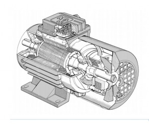 Trifase Autofrenanti serie BM in alluminio con freno in DC., M.G.M., Electric motors and inverters
